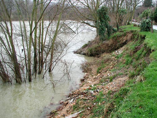 Stabiliser les berges de Croissy-sur-Seine